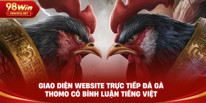 Giao diện website trực tiếp đá gà Thomo có bình luận tiếng Việt